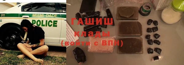индика Алзамай