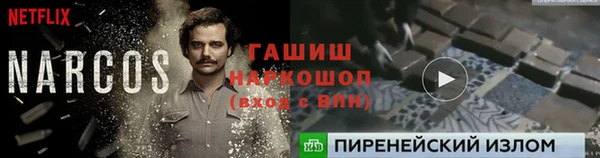 индика Алзамай