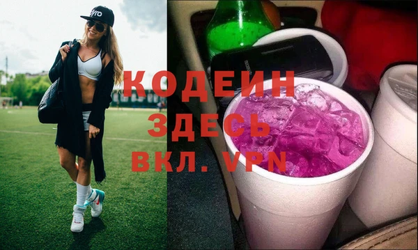 индика Алзамай