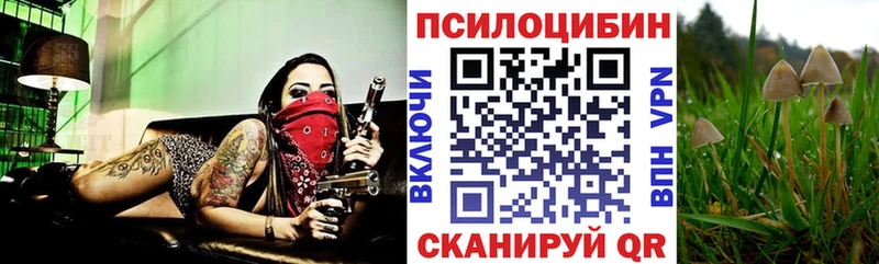 Галлюциногенные грибы Cubensis  цена наркотик  Межгорье 